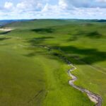 Spring Awakens: Vibrant Life Returns to Inner Mongolia's Grasslands video poster
