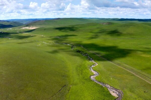 Spring Awakens: Vibrant Life Returns to Inner Mongolia's Grasslands video poster