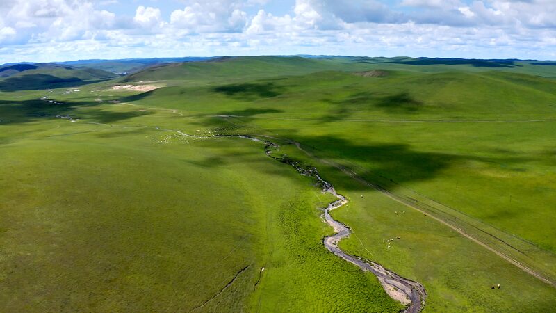 Spring_Awakens_Vibrant_Life_Returns_to_Inner_Mongolias_Grasslands_poster - Khabar Asia Spring Awakens: Vibrant Life Returns to Inner Mongolia's Grasslands video poster
