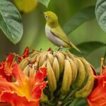 Spring Blooms: African Tulip Trees Attract Charming Birds Across Asia