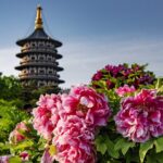 Spring Blossoms Across China: Six Must-Visit Destinations to Enjoy Nature's Beauty