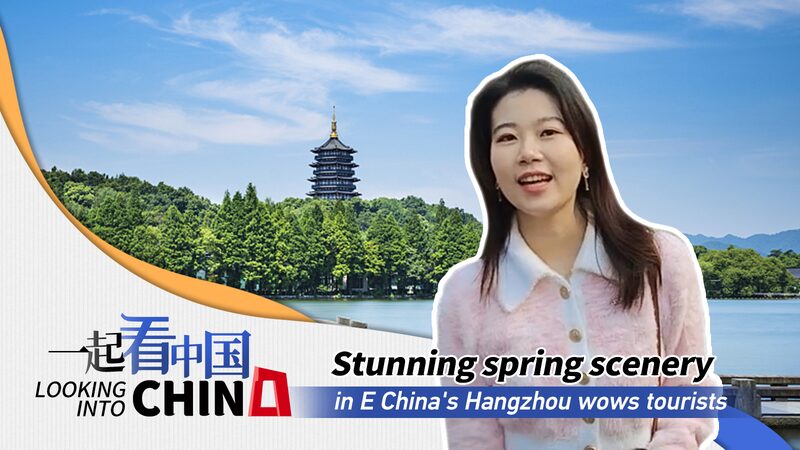 Spring_Blossoms_in_Hangzhous_Ancient_Towns_Delight_Tourists_poster - Khabar Asia Spring Blossoms in Hangzhou's Ancient Towns Delight Tourists video poster