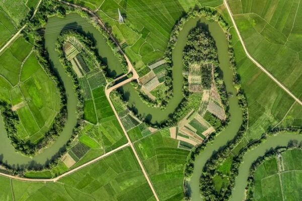 Springtime Splendor Unfolds at Haikou’s Thirty-Six Bends Wetlands Park Springtime Splendor Unfolds at Haikou's Thirty-Six Bends Wetlands Park
