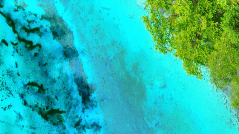 Step_into_a_Painting__Exploring_the_Magic_of_Jiuzhaigou video poster