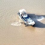 Stranded Dolphin Rescued and Released Back to Sea off China's East Coast video poster