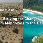 Striving for Change: Thailand's Mangrove Revival and Pakistan's Inspirational Trucker video poster