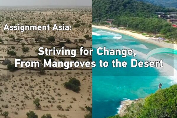 Striving for Change: Thailand's Mangrove Revival and Pakistan's Inspirational Trucker video poster
