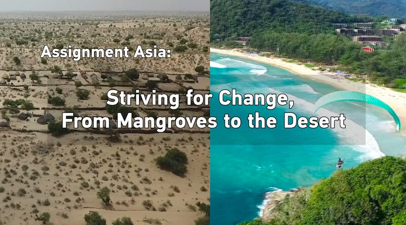 Striving_for_Change_Thailands_Mangrove_Revival_and_Pakistans_Inspirational_Trucker_poster - Khabar Asia Striving for Change: Thailand's Mangrove Revival and Pakistan's Inspirational Trucker video poster