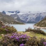 Studies_Highlight_Qinghai_Xizang_Plateau_s_Role_as_Vital_Carbon_Sink