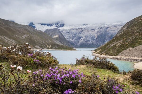 Studies_Highlight_Qinghai_Xizang_Plateau_s_Role_as_Vital_Carbon_Sink