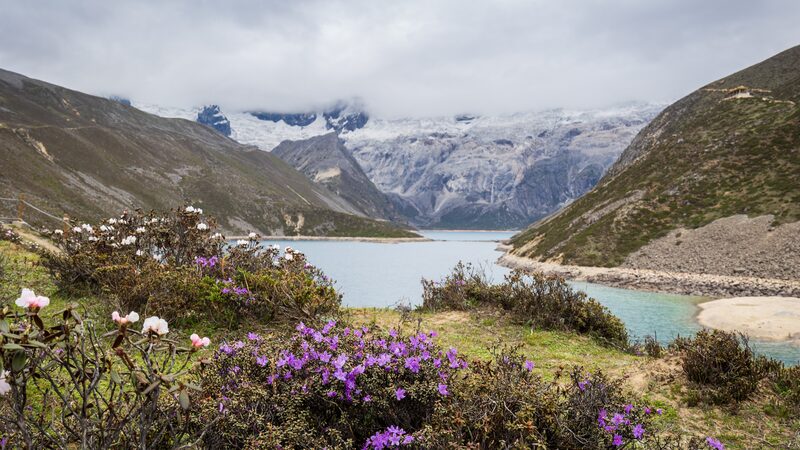 Studies_Highlight_Qinghai_Xizang_Plateau_s_Role_as_Vital_Carbon_Sink - Khabar Asia Studies_Highlight_Qinghai_Xizang_Plateau_s_Role_as_Vital_Carbon_Sink