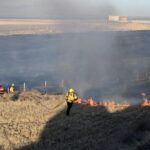 Study Finds California Wildfires Caused Over 52,000 Premature Deaths in a Decade