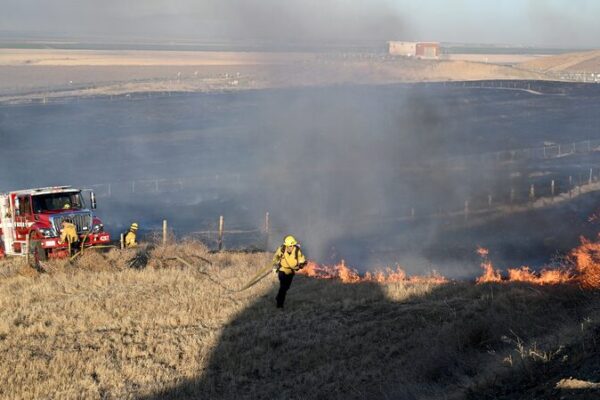 Study Finds California Wildfires Caused Over 52,000 Premature Deaths in a Decade Study Finds California Wildfires Caused Over 52,000 Premature Deaths in a Decade