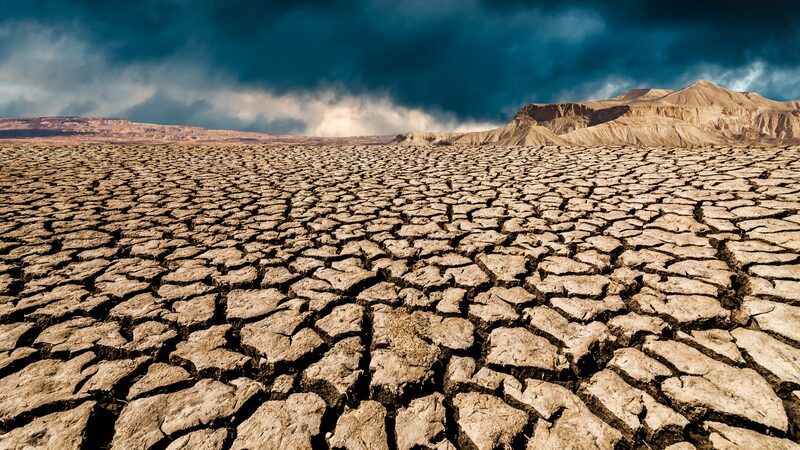 Study_Finds_Most_of_World_s_Drylands_Unprotected__Endangering_Biodiversity - Khabar Asia Study_Finds_Most_of_World_s_Drylands_Unprotected__Endangering_Biodiversity