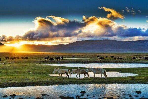 Study Predicts Warmer, Wetter Future for Northern Qinghai-Xizang Plateau Study Predicts Warmer, Wetter Future for Northern Qinghai-Xizang Plateau
