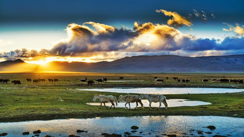 Study_Predicts_Warmer_Wetter_Future_for_Northern_Qinghai-Xizang_Plateau - Khabar Asia Study Predicts Warmer, Wetter Future for Northern Qinghai-Xizang Plateau