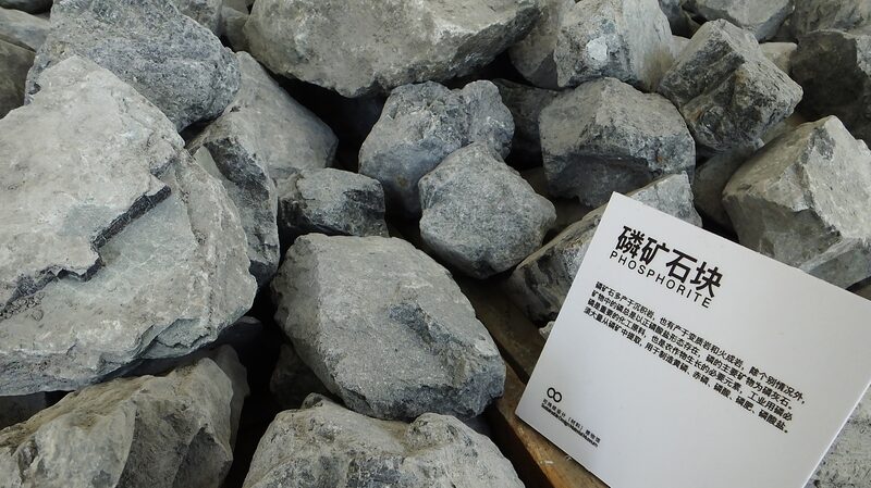 Study_Reveals_Only_12_6__of_Inorganic_Phosphorus_Fertilizers_Absorbed_by_Plants - Khabar Asia Study_Reveals_Only_12_6__of_Inorganic_Phosphorus_Fertilizers_Absorbed_by_Plants