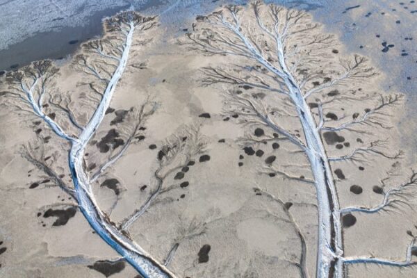 Stunning Ice ‘Trees’ Emerge on Frozen Qiantang River in Zhejiang Stunning Ice 'Trees' Emerge on Frozen Qiantang River in Zhejiang