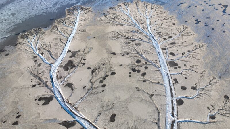 Stunning Ice 'Trees' Emerge on Frozen Qiantang River in Zhejiang