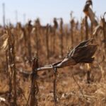 Sudan_and_Chad_Face_Severe_Flooding__Lesotho_Impacted_by_Drought