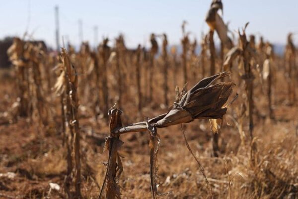 Sudan and Chad Face Severe Flooding; Lesotho Impacted by Drought Sudan_and_Chad_Face_Severe_Flooding__Lesotho_Impacted_by_Drought