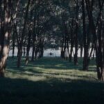 Sunlight_Transforms_Ditan_Park_into_a_Seaside_Wonderland video poster