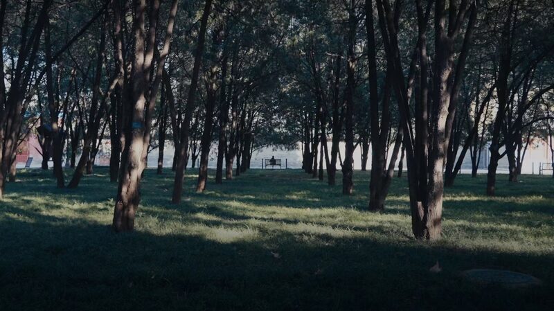 Sunlight_Transforms_Ditan_Park_into_a_Seaside_Wonderland_poster - Khabar Asia Sunlight_Transforms_Ditan_Park_into_a_Seaside_Wonderland video poster