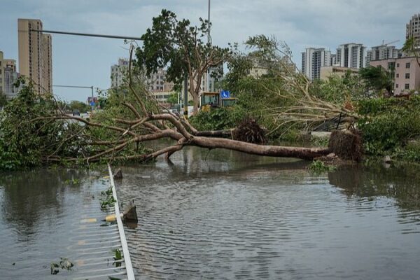 Super Typhoon Yagi Claims Lives and Impacts Over Half a Million in Hainan Super_Typhoon_Yagi_Claims_Lives_and_Impacts_Over_Half_a_Million_in_Hainan video poster