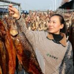 Suqian Fishermen Prepare Sun-Dried Fish for Spring Festival Festivities