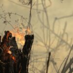 Surging_Amazon_Fires_Raise_Global_Climate_Concerns_Impacting_Asia - Khabar Asia Surging_Amazon_Fires_Raise_Global_Climate_Concerns_Impacting_Asia