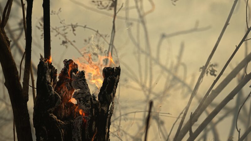 Surging_Amazon_Fires_Raise_Global_Climate_Concerns_Impacting_Asia - Khabar Asia Surging_Amazon_Fires_Raise_Global_Climate_Concerns_Impacting_Asia