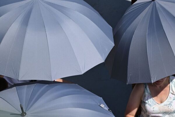 Survey Reveals One in Four Germans Suffer Health Issues from Extreme Heat Survey_Reveals_One_in_Four_Germans_Suffer_Health_Issues_from_Extreme_Heat