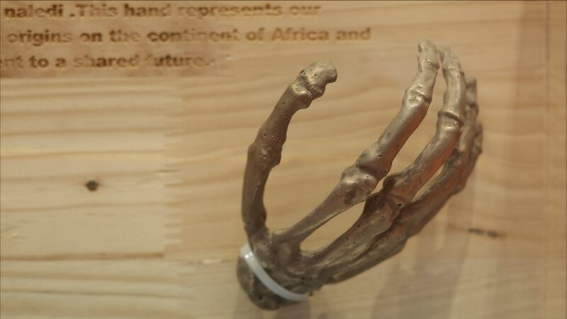 Symbol_of_Unity__South_Africa_s_Fossil_Replica_Gift_to_China_Shines_at_Beijing_Exhibition - Khabar Asia Symbol_of_Unity__South_Africa_s_Fossil_Replica_Gift_to_China_Shines_at_Beijing_Exhibition