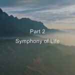Symphony_of_Life__Unveiling_the_Secrets_of_Hainan_s_Tropical_Rainforest video poster