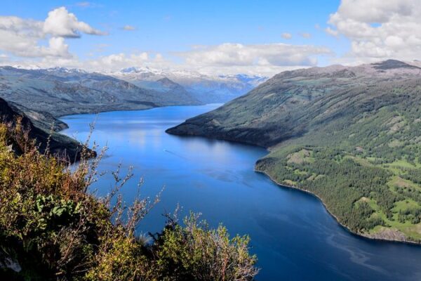 Symposium in Chongqing Calls for New Ecological Era in Western China