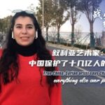 Syrian Artist: China Put Lives Above All During Past Three Years video poster