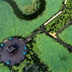 Taizhou's Lotus Paradise: A Summer Escape in Jiangsu's Blooming Heartland