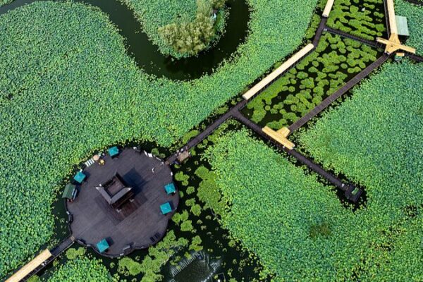 Taizhou’s Lotus Paradise: A Summer Escape in Jiangsu’s Blooming Heartland Taizhou's Lotus Paradise: A Summer Escape in Jiangsu's Blooming Heartland