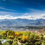 Technology Propels Xizang's Largest-Ever Afforestation Project video poster