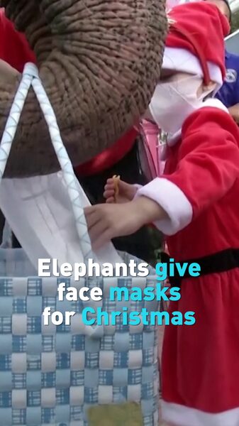 Thai_Elephants_Swap_Christmas_Gifts_for_Face_Masks_to_Promote_COVID-19_Awareness_poster - Khabar Asia Thai Elephants Swap Christmas Gifts for Face Masks to Promote COVID-19 Awareness video poster