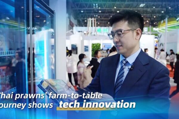 Thai Prawns Traceable from Farm to Table through Tech Innovation Thai_Prawns_Traceable_from_Farm_to_Table_through_Tech_Innovation video poster