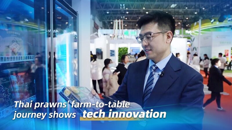 Thai_Prawns_Traceable_from_Farm_to_Table_through_Tech_Innovation_poster - Khabar Asia Thai_Prawns_Traceable_from_Farm_to_Table_through_Tech_Innovation video poster