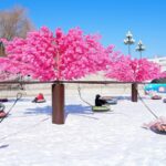 The_15th_Taoranting_Ice_and_Snow_Carnival_Lights_Up_Beijing_s_Winter