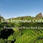 The Art of Wuyi Rock Tea: Master Craftsman Liu Guoying's Lifelong Dedication video poster