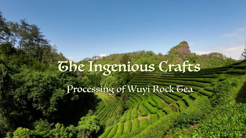 The_Art_of_Wuyi_Rock_Tea_Master_Craftsman_Liu_Guoyings_Lifelong_Dedication_poster - Khabar Asia The Art of Wuyi Rock Tea: Master Craftsman Liu Guoying's Lifelong Dedication video poster
