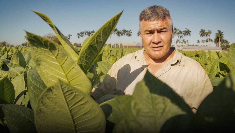 The_Craftsmanship_Behind_Fine_Cuban_Cigars_Insights_from_a_Tobacco_Artisan_poster - Khabar Asia The Craftsmanship Behind Fine Cuban Cigars: Insights from a Tobacco Artisan video poster