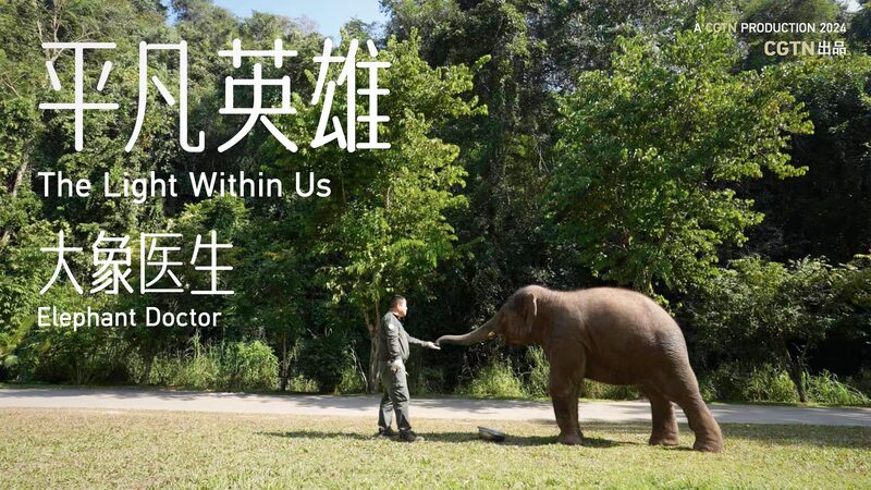 The_Elephant_Doctor_of_Yunnan_23_Years_of_Saving_Asian_Elephants - Khabar Asia The Elephant Doctor of Yunnan: 23 Years of Saving Asian Elephants