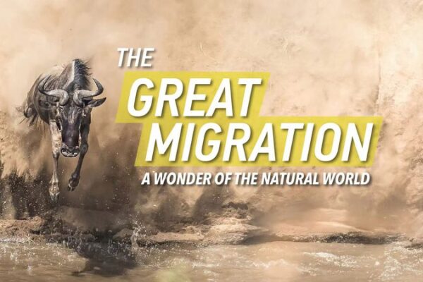 The Great Migration 2024: Witnessing Nature’s Grand Spectacle The_Great_Migration_2024__Witnessing_Nature_s_Grand_Spectacle video poster