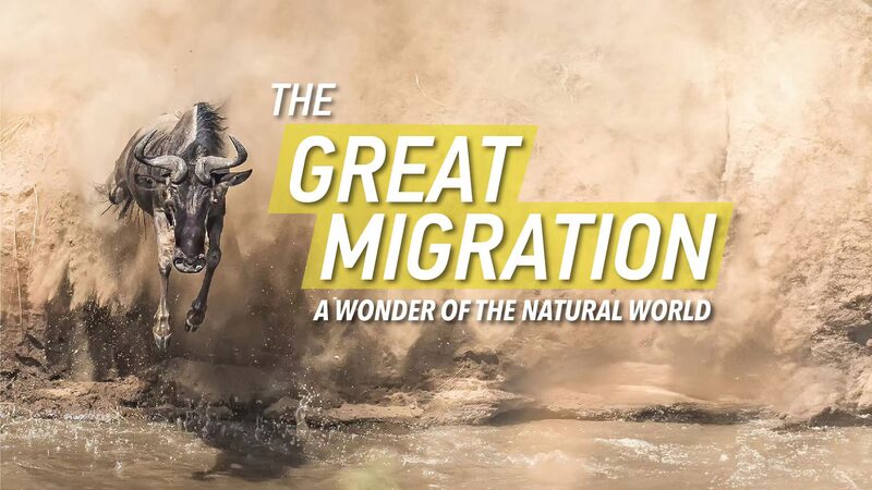 The_Great_Migration_2024__Witnessing_Nature_s_Grand_Spectacle_poster - Khabar Asia The_Great_Migration_2024__Witnessing_Nature_s_Grand_Spectacle video poster