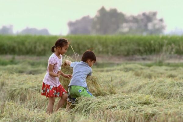 The Sacred Grain: Thailand’s Rice Goddess Phosop and Cultural Traditions The Sacred Grain: Thailand's Rice Goddess Phosop and Cultural Traditions video poster